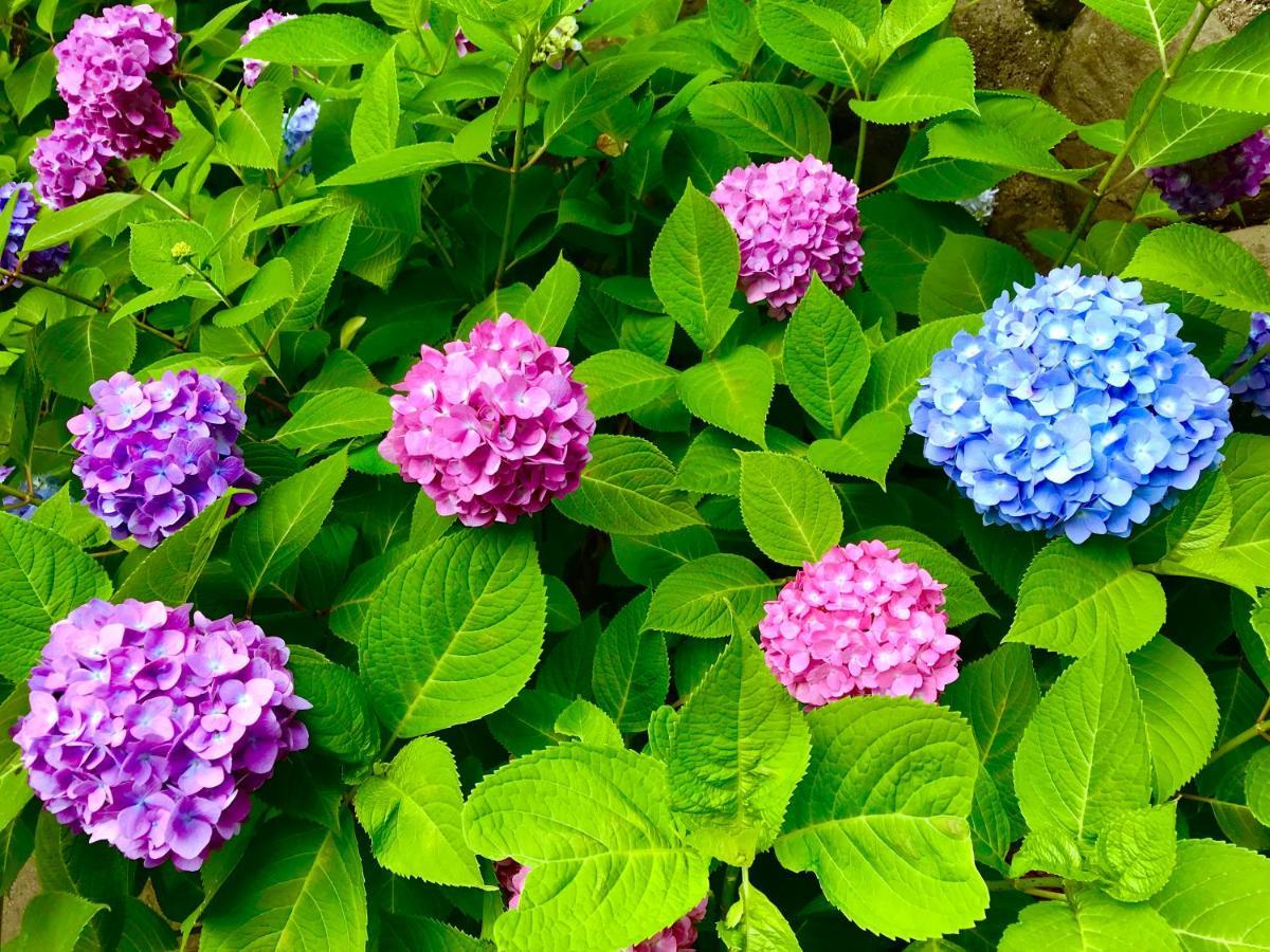 藤花楼 Kamakura Bed & Breakfast Yamanouchi  ภายนอก รูปภาพ
