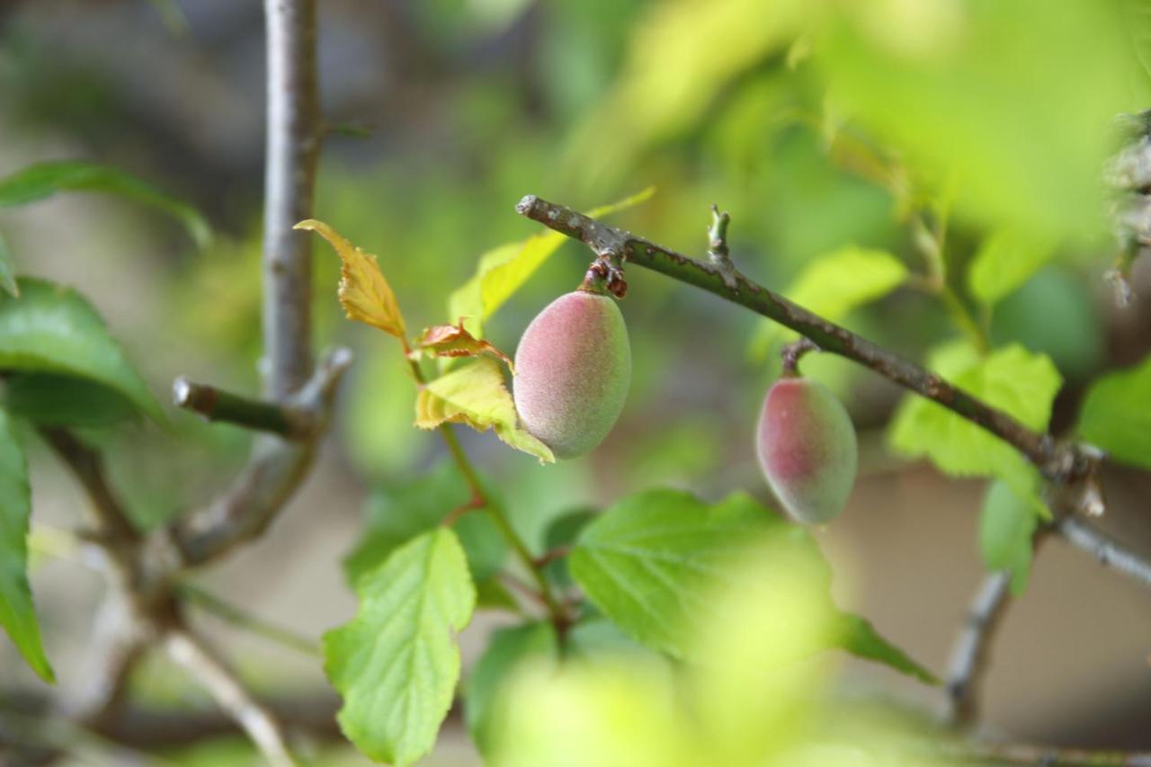 藤花楼 Kamakura Bed & Breakfast Yamanouchi  ภายนอก รูปภาพ